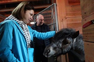 Стайня в парку природи Беремицьке
